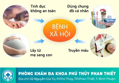 Các bệnh lý nam khoa 