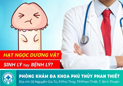 Chuỗi hạt ngọc dương vật