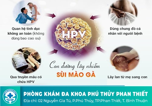 Nguyên nhân gây bệnh sùi mào gà