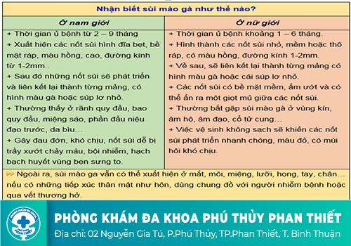 Tìm hiểu chung về bệnh sùi mào gà