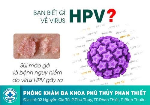 Virus HPV là gì?