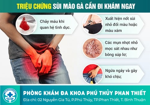 Lở loét bộ phận sinh dục là dấu hiệu bệnh gì?