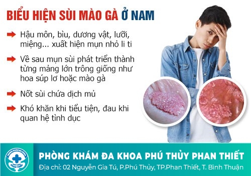 Nổi hột ở dương vật là dấu hiệu bệnh gì?