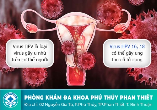 CÁC CON ĐƯỜNG LÂY NHIỄM HPV