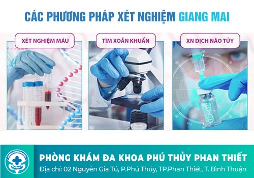 Quy trình Hỗ trợ điều trị bệnh giang mai bằng phương pháp miễn dịch cân bằng