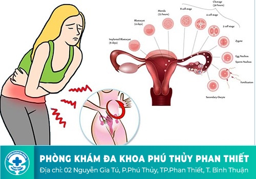 Đau bụng dưới rốn