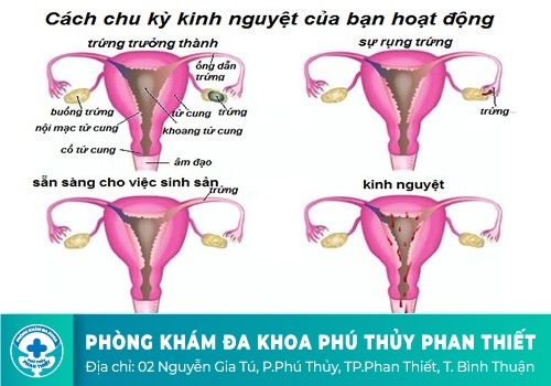 Nguyên nhân gây nên tình trạng vô kinh thứ phát