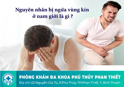 Ngứa Dương Vật Là Do Đâu