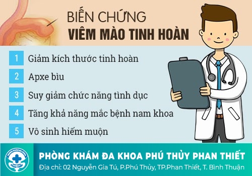 TÁC HẠI CỦA VIÊM MÀO TINH HOÀN