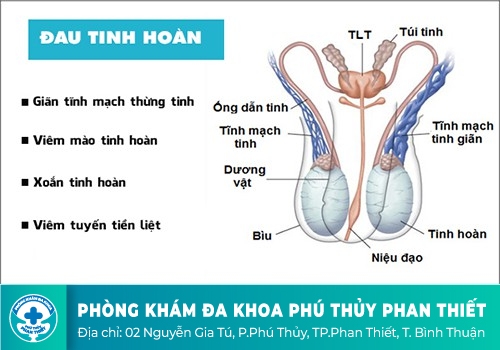 ĐAU TINH HOÀN TRÁI LÀ DẤU HIỆU CỦA BỆNH GÌ?