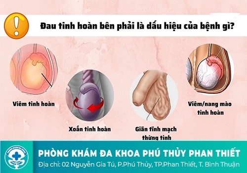 Bị đau tinh hoàn có sao không?