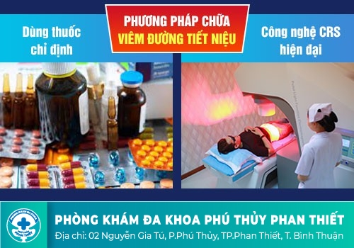 Điều trị Viêm đường tiết niệu hiệu quả