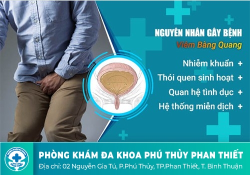 Những nguyên nhân chính gây nên bệnh viêm bàng quang
