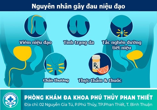 Đau niệu đạo là biểu hiện của bệnh gì?