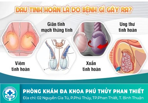 Tình trạng đau tinh hoàn sau khi quan hệ cảnh báo bệnh lý nam khoa nguy hiểm