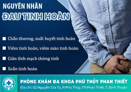 Nguyên nhân nào khiến bạn bị đau tinh hoàn