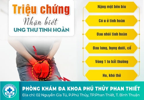 Các bệnh lý tinh hoàn thường gặp 