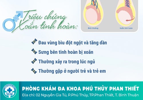 Xoắn tinh hoàn