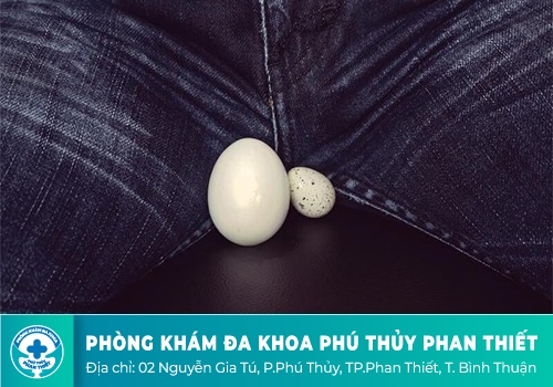 Quý ông biết gì về tinh hoàn?