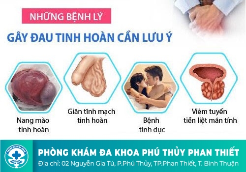 ĐAU TINH HOÀN TRÁI LÀ GÌ?