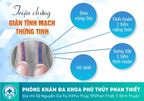 Các bệnh lý tinh hoàn thường gặp 