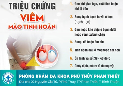 TRIỆU CHỨNG CỦA VIÊM MÀO TINH HOÀN