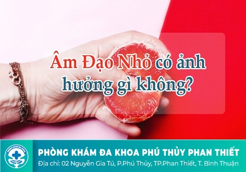 âm đạo nhỏ