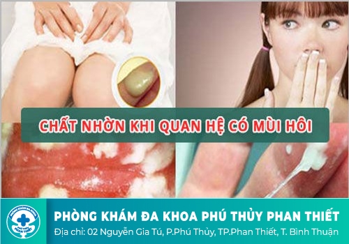 Chất nhờn khi quan hệ 