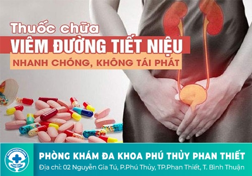 Điều trị viêm tiết niệu