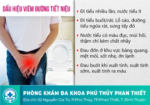 Viêm đường tiết niệu