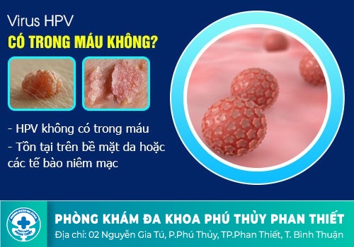 virus HPV gây bệnh sùi mào gà
